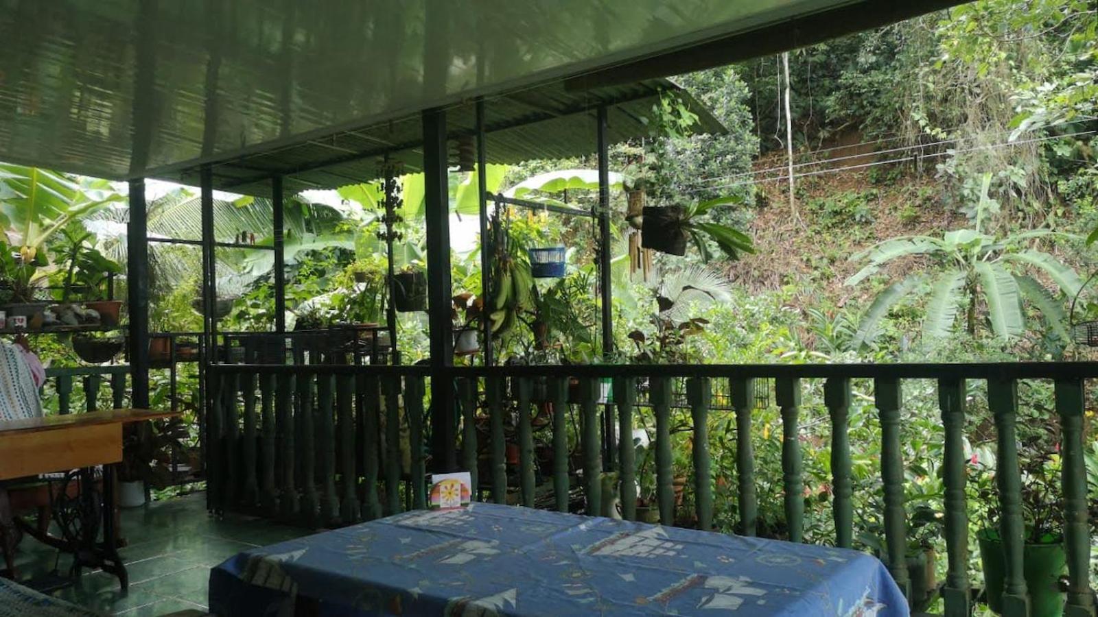 Golfito Maison D'Hotes Bagian luar foto