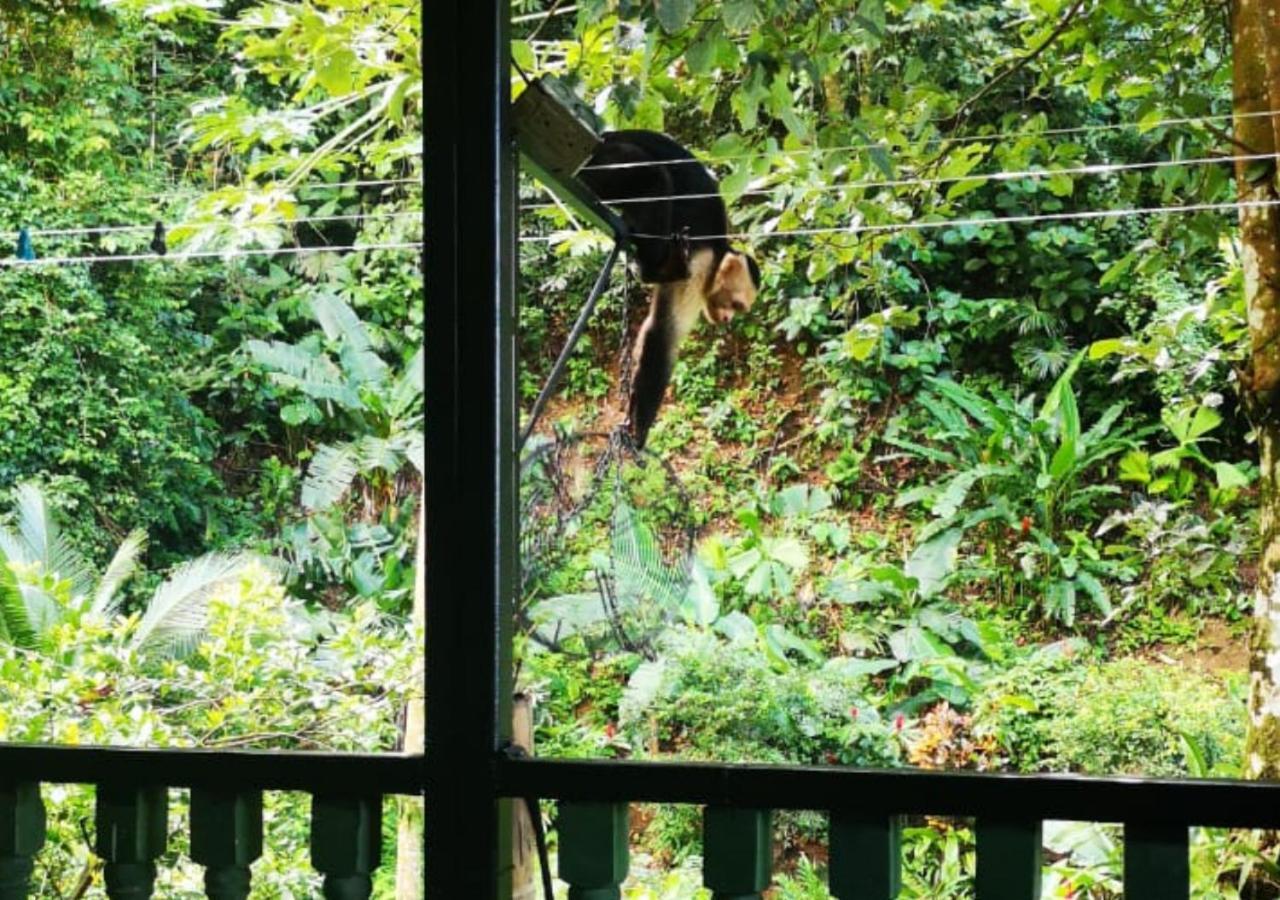 Golfito Maison D'Hotes Bagian luar foto